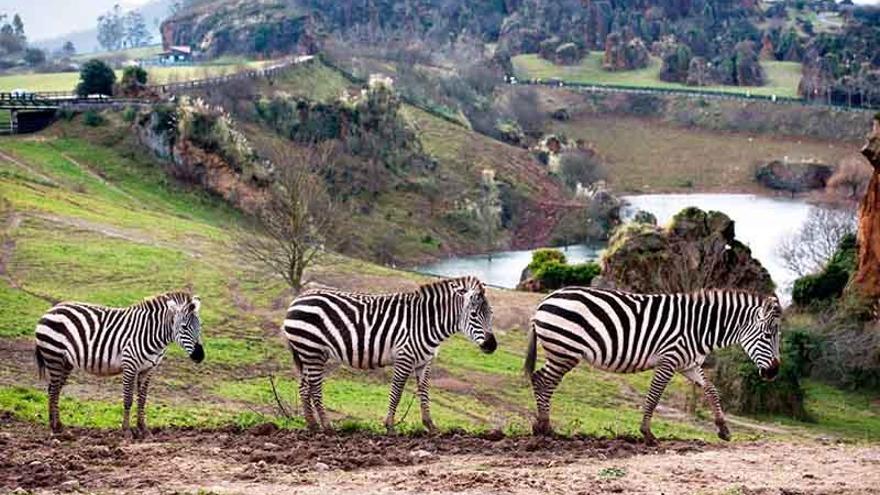 Parque de Cabárceno.